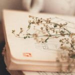 Romantic Poetry Book Gift for Wife: A Meaningful Present She’ll Treasure Forever